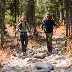 Hiking Poles