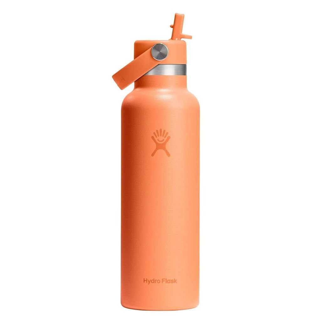 Hydro Flask Standard Mouth with Flex Straw Cap 621 ml