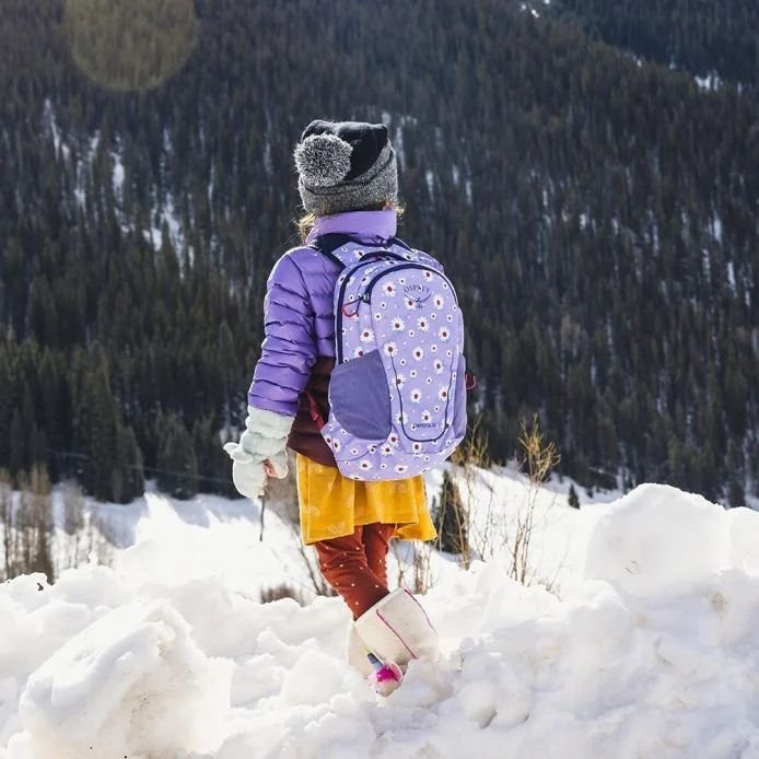 Osprey Daylite Jr
