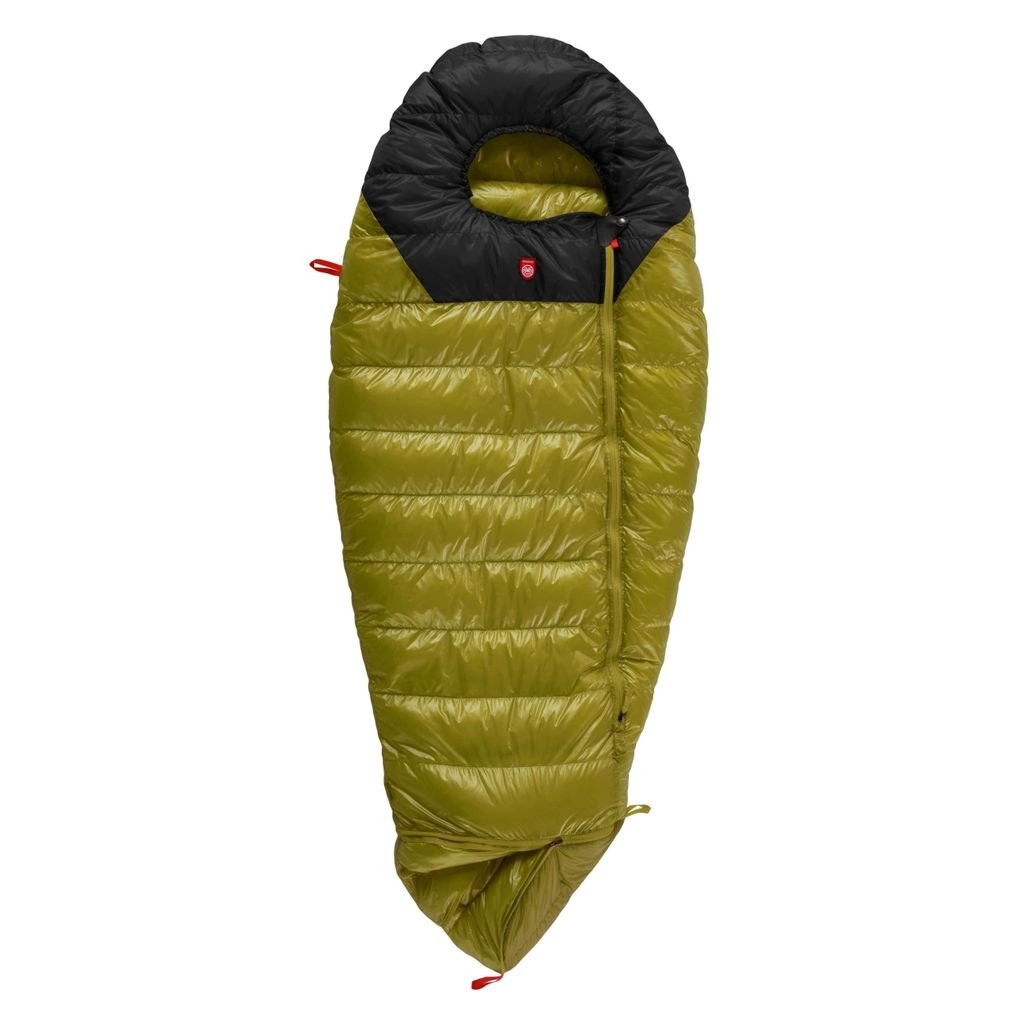 Pajak Quest Bear Junior