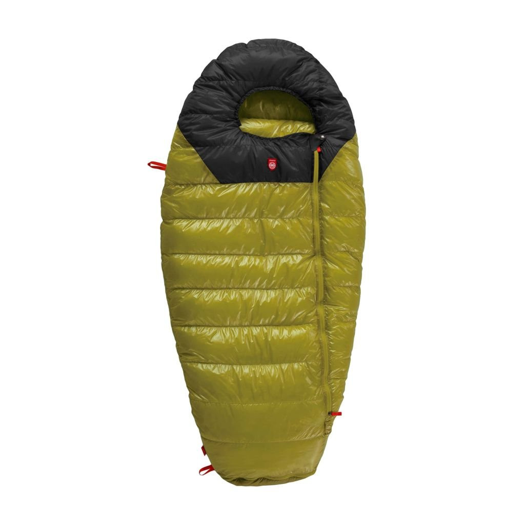 Pajak Quest Bear Junior