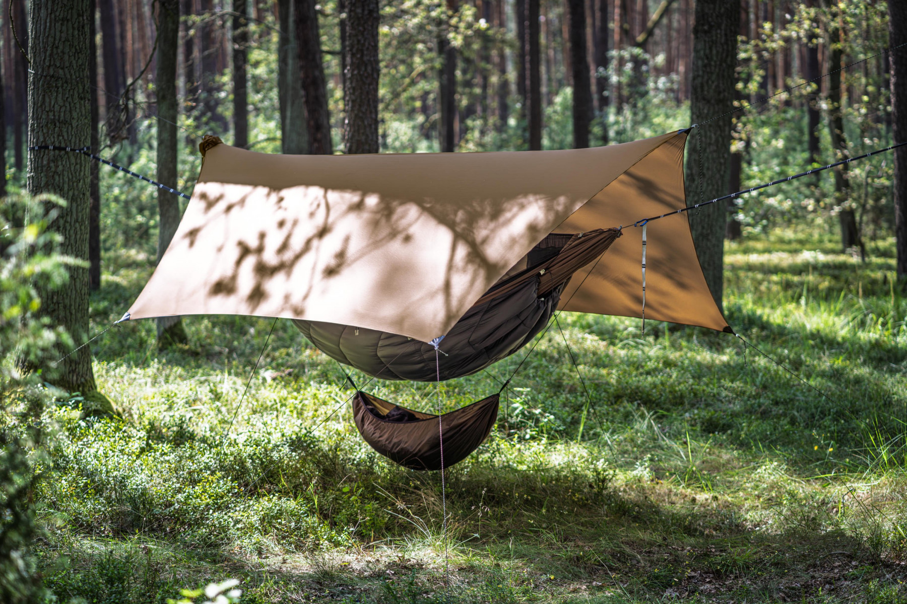 Tarp Lesovik Heksa