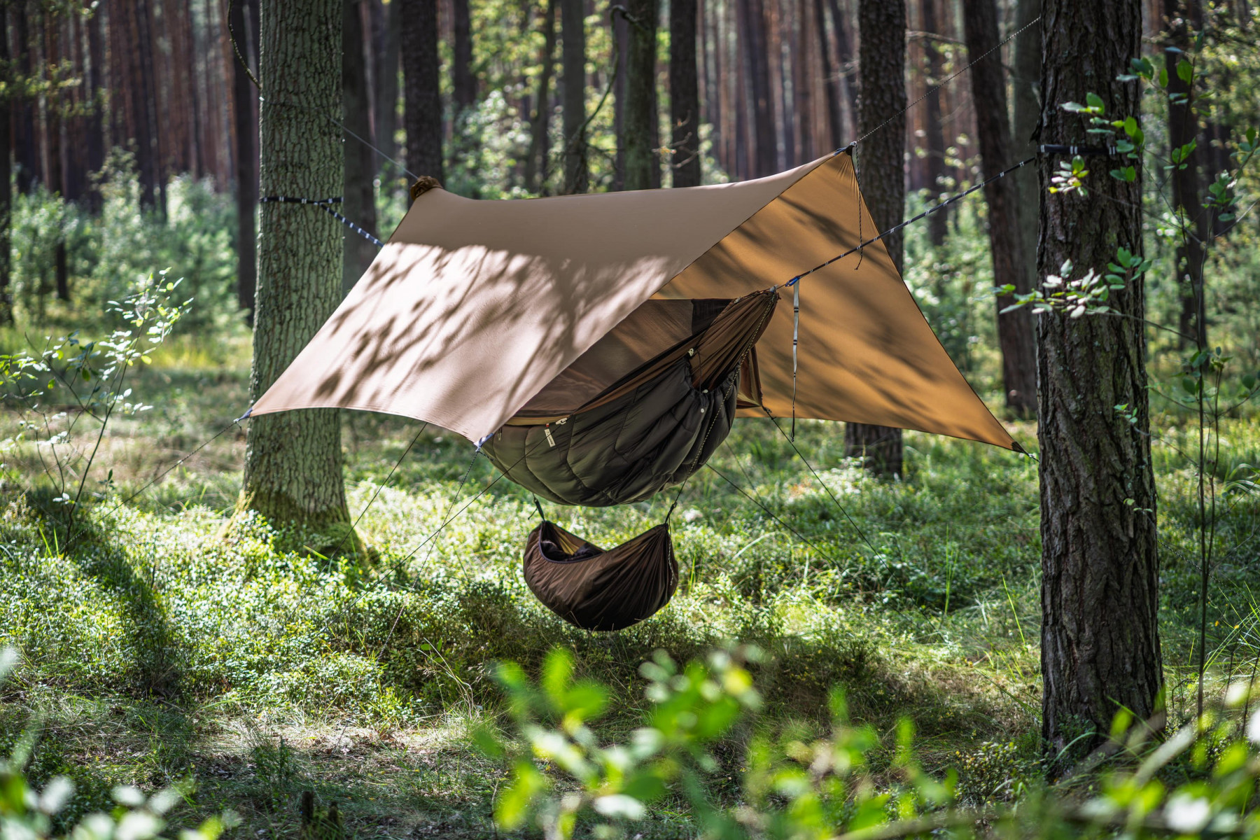 Tarp Lesovik Heksa