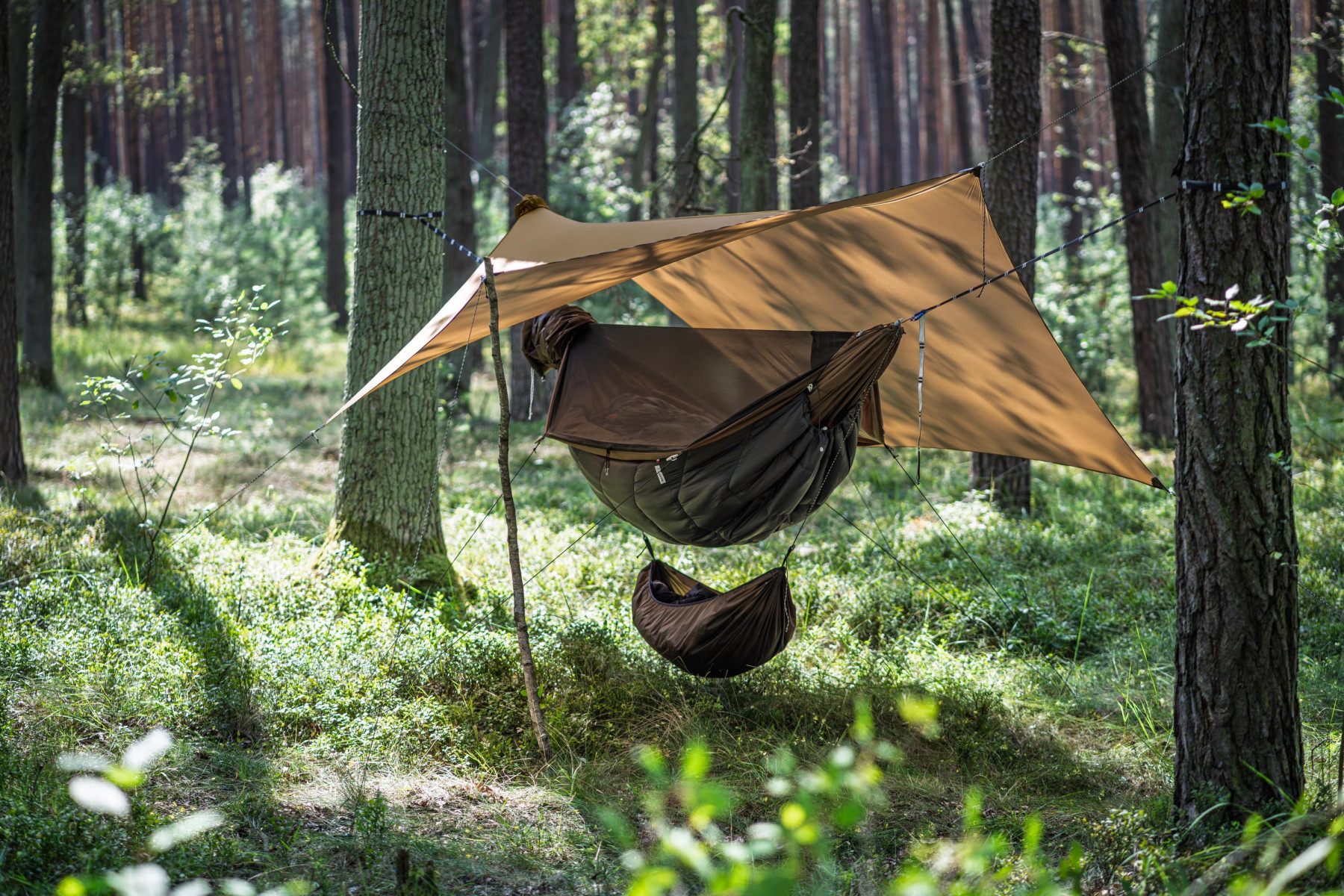 Tarp Lesovik Heksa
