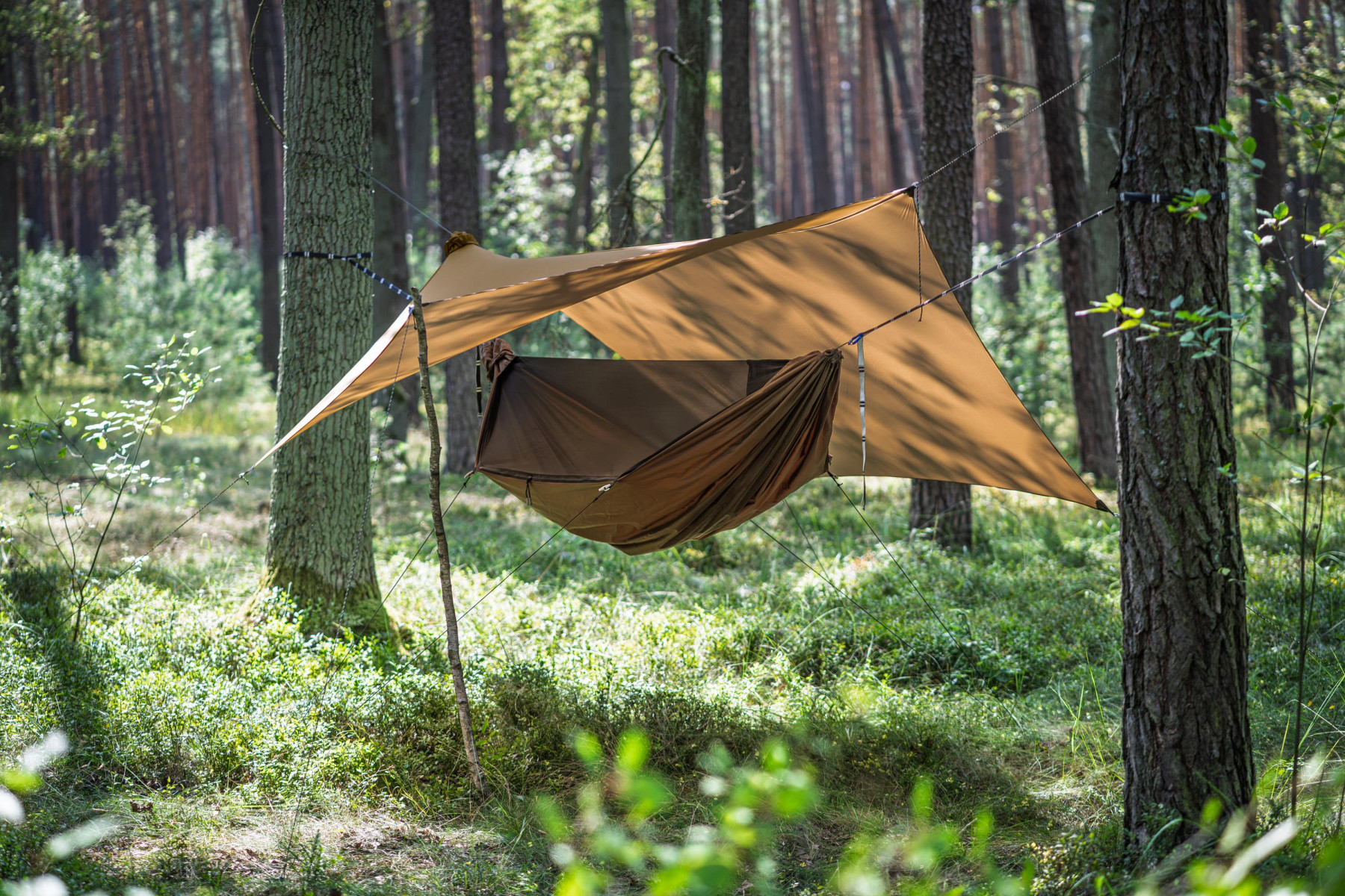 Tarp Lesovik Heksa