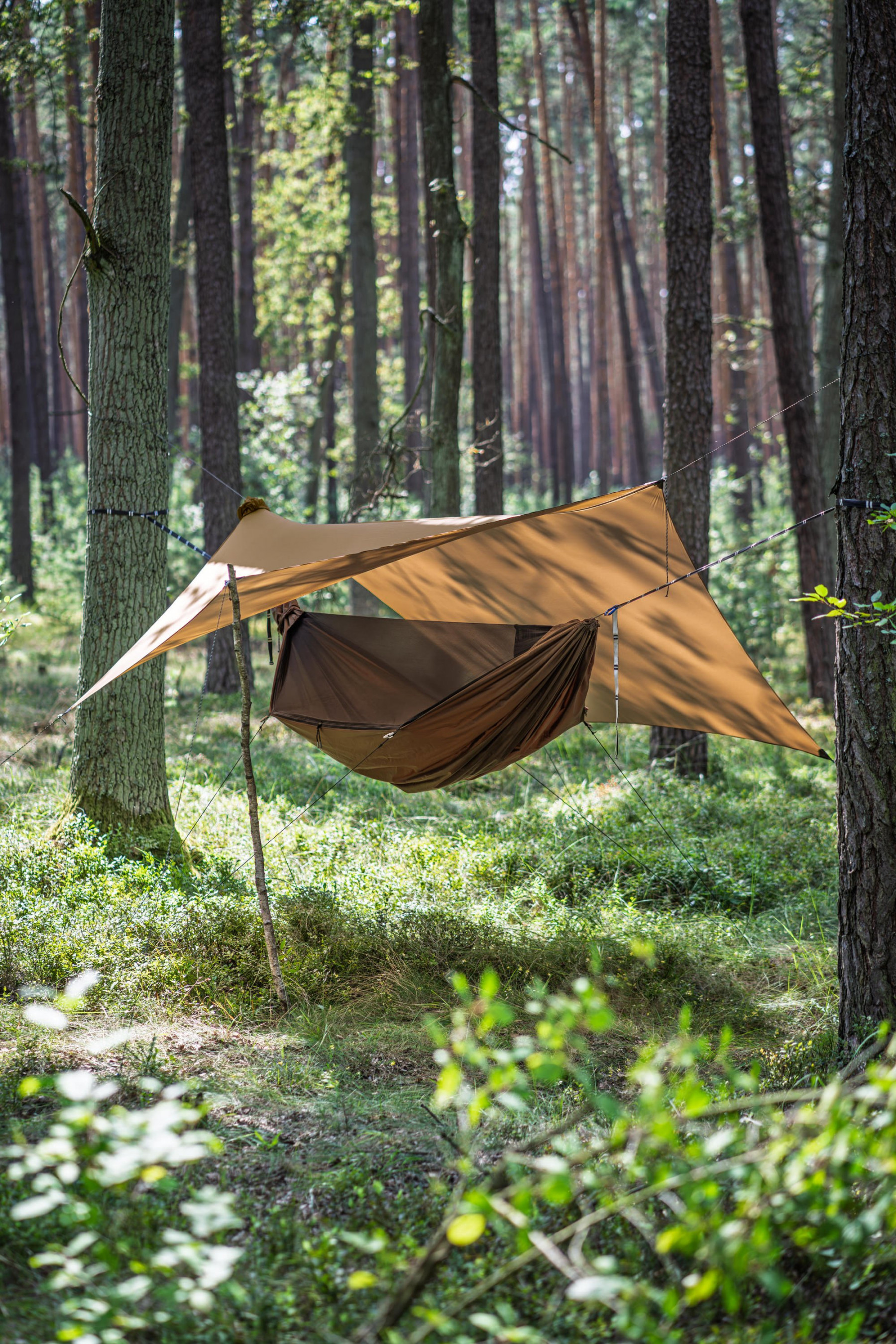 Tarp Lesovik Heksa