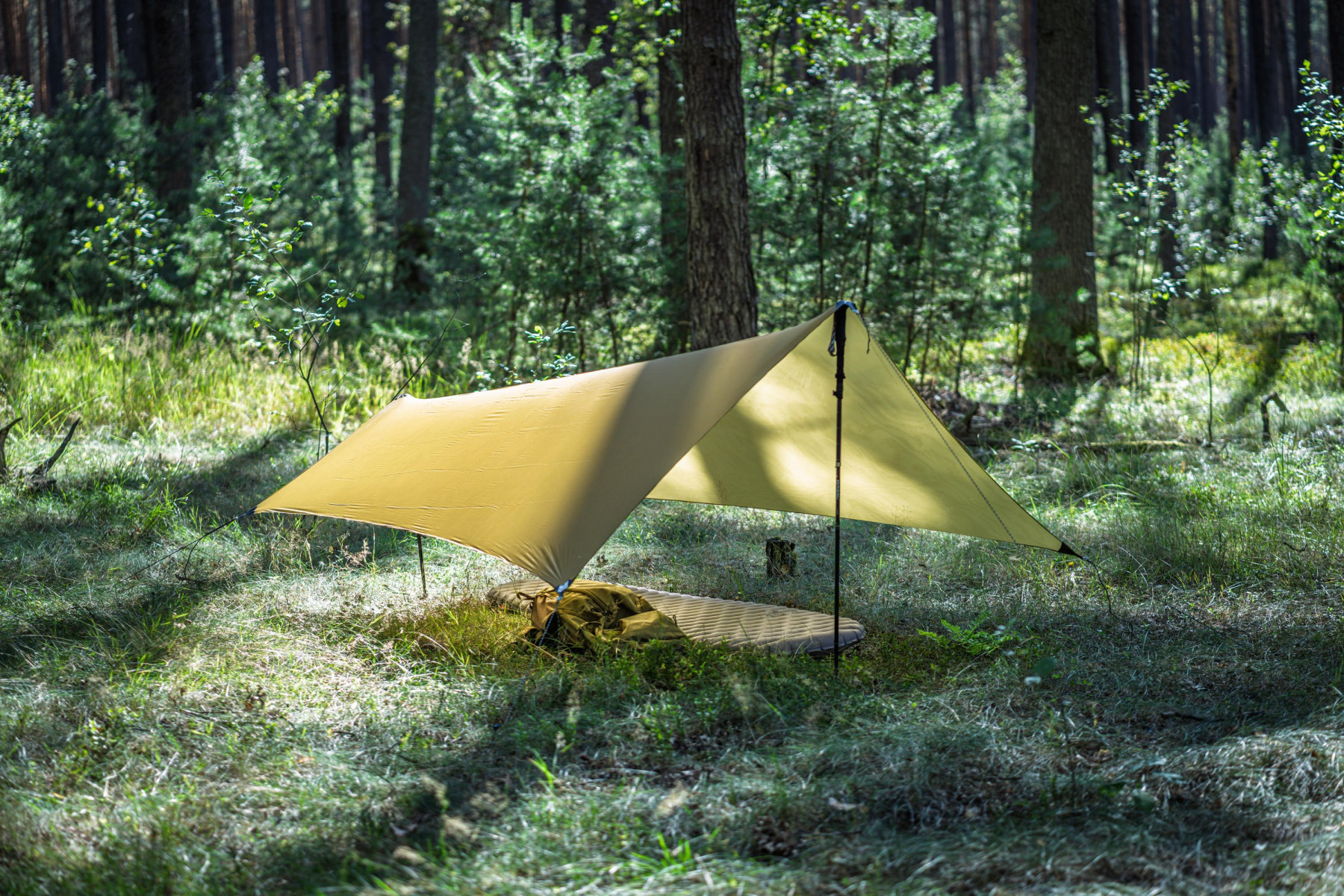 Tarp Lesovik Zmora