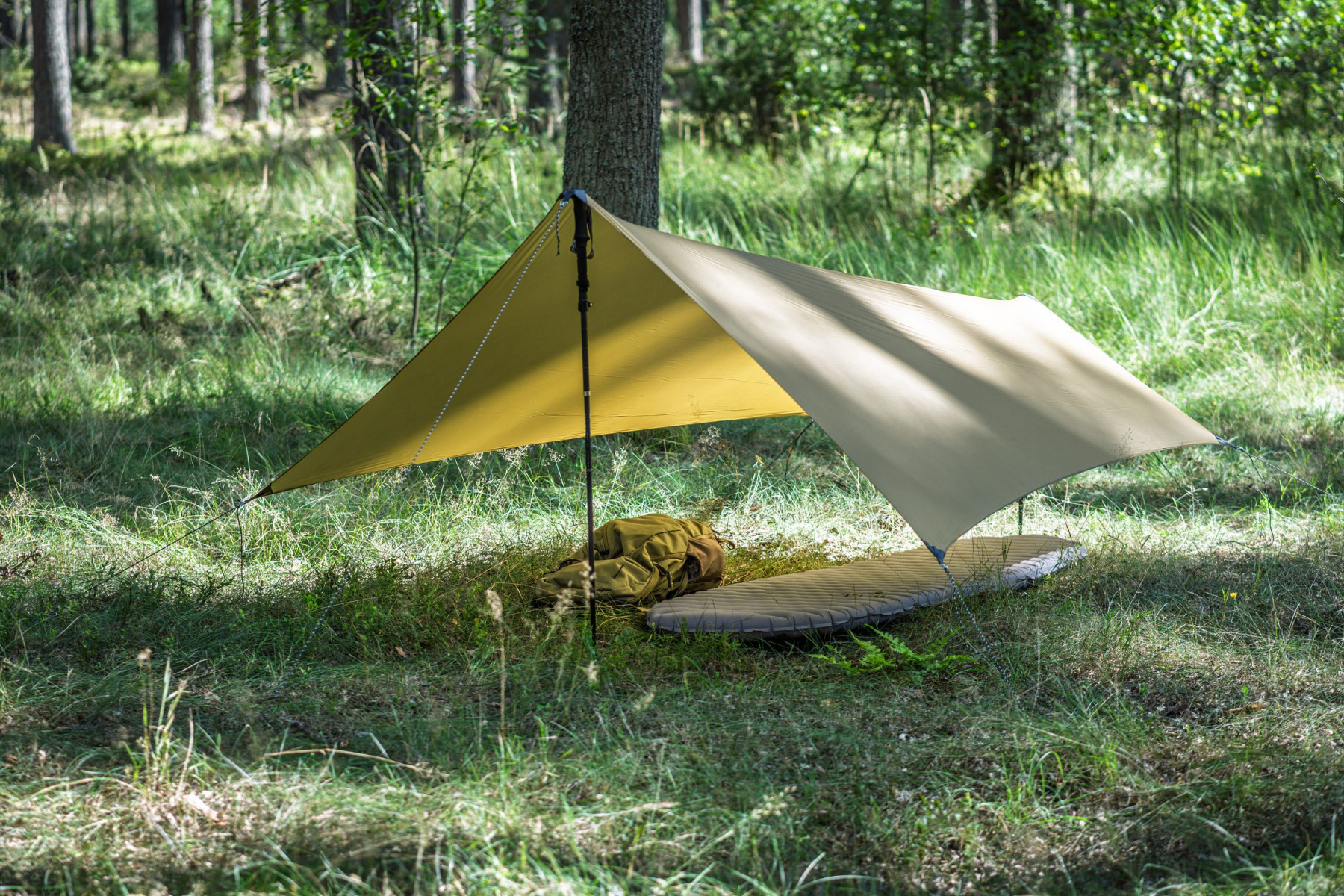 Tarp Lesovik Zmora