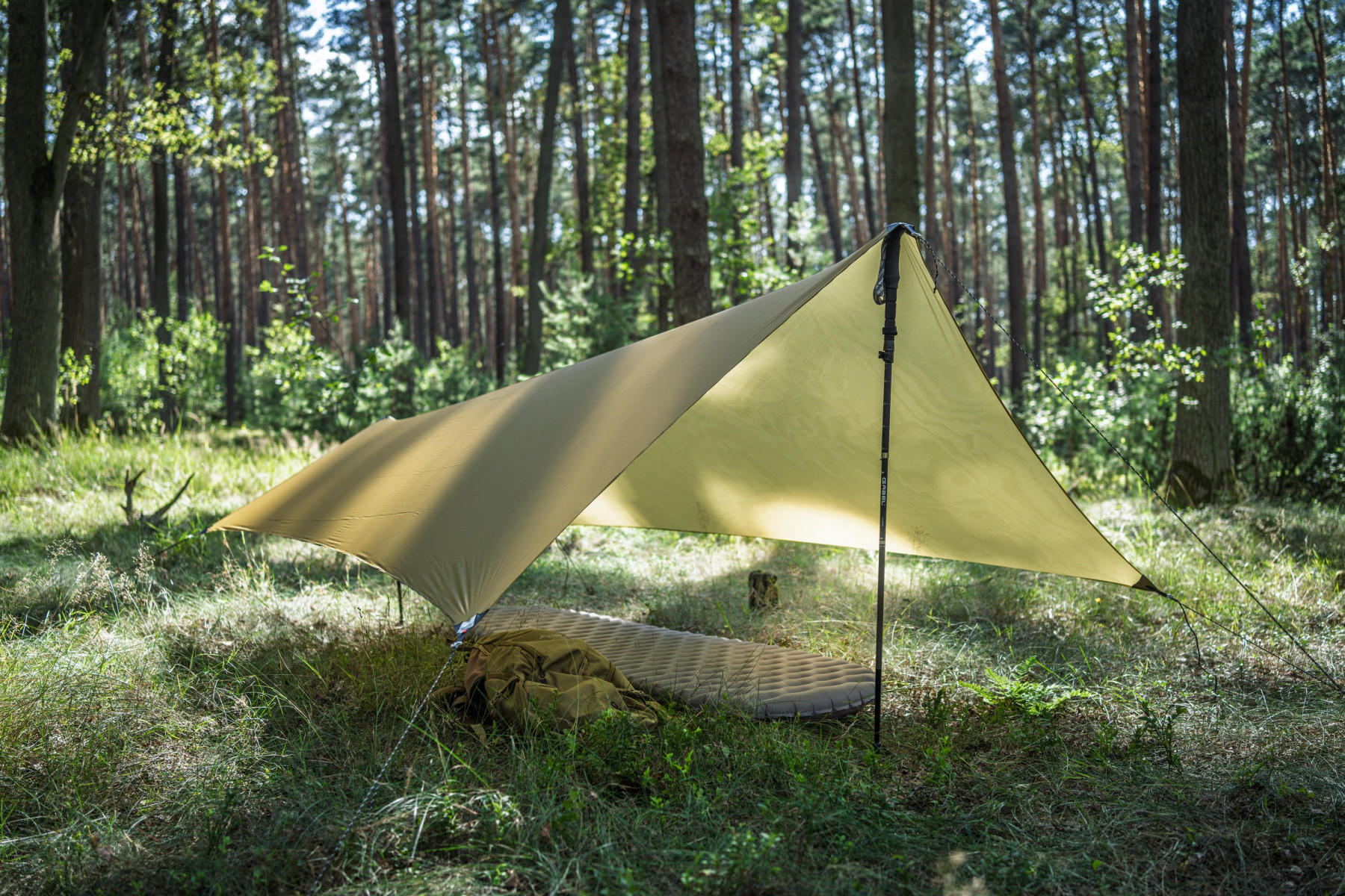 Tarp Lesovik Zmora