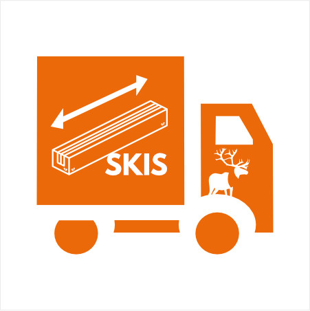 Shipping costs skis