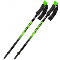 Bâtons Fizan Compact Vert / Green