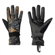 Lillsport Forest Autumn