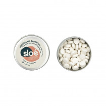 Sloé Dentifrice solide en pastilles - Nomade avec boîte - Menthe