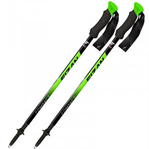 Bâtons Fizan Compact Vert / Green