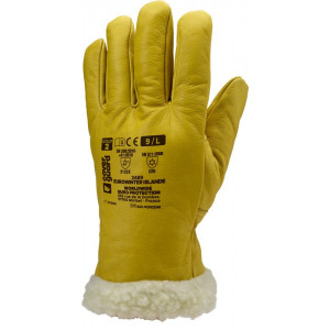 Gants Coverguard Eurowinter Islande