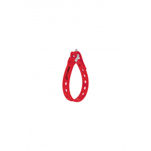 Black Diamond Ski Strap
