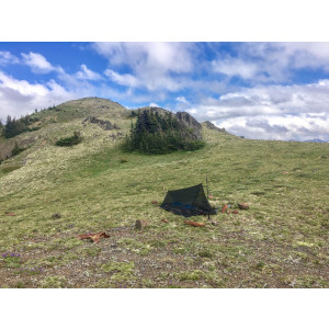 Hilleberg Mesh Tent 1