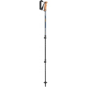 Bâton Leki Legacy Lite