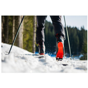 Chaussures Alpina Pionner Tech - Xplore