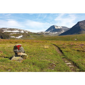 Guide Norvège du Nord : Cicerone Hiking in Norway - North