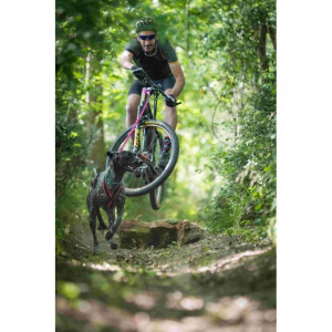 Inlandsis Bikejor Leash