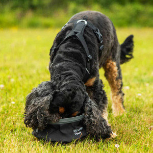 Mountain Paws Dog Collapsible Water Bowl