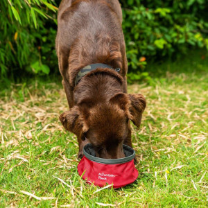 Mountain Paws Dog Collapsible Water Bowl
