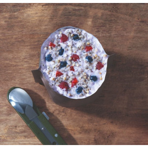 Porridge aux fruits rouges - MX3