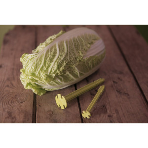SwissPiranha Pegs GS150 (set of 10 with bag)