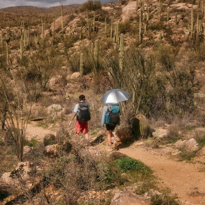 Gossamer Handsfree Umbrella Clamp