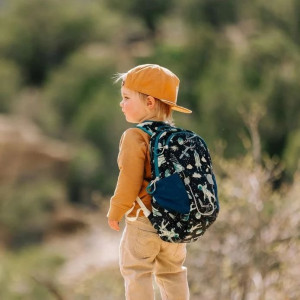 Osprey Daylite Jr