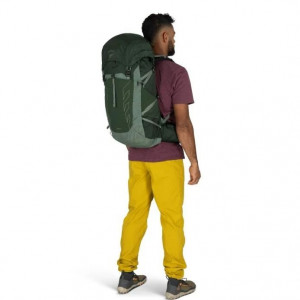 Osprey Talon 33