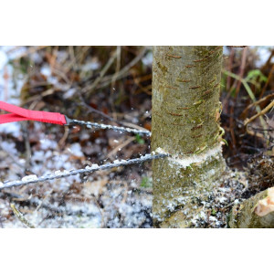 Scie, tronçonneuse manuelle Nordic Pocket Saw
