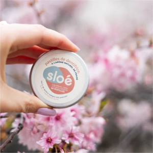 Sloé Toothpaste solid pastilles - Nomad with box - Strawberry
