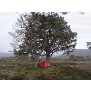 Hilleberg Niak