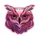 NoSo Patch Logo - Amber MTN Worsowl