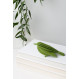 Oiseau en bois Lovi Bear