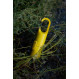Protection solaire Capsule Nomad - Yellow Sunrise