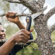 Fiskars Scie pliable Plus SW68 – 15 cm