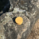 Sloé Elbe Solid Shampoo with argan oil and orange blossom fragrance