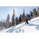 Skis Rossignol BC 100 Positrack 