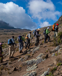 Travel agencies and tour operators
