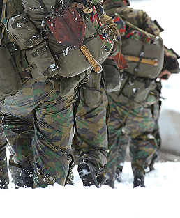 Armed forces, special forces, gendarmerie, firefighters, departmental fire and rescue services, and emergency services